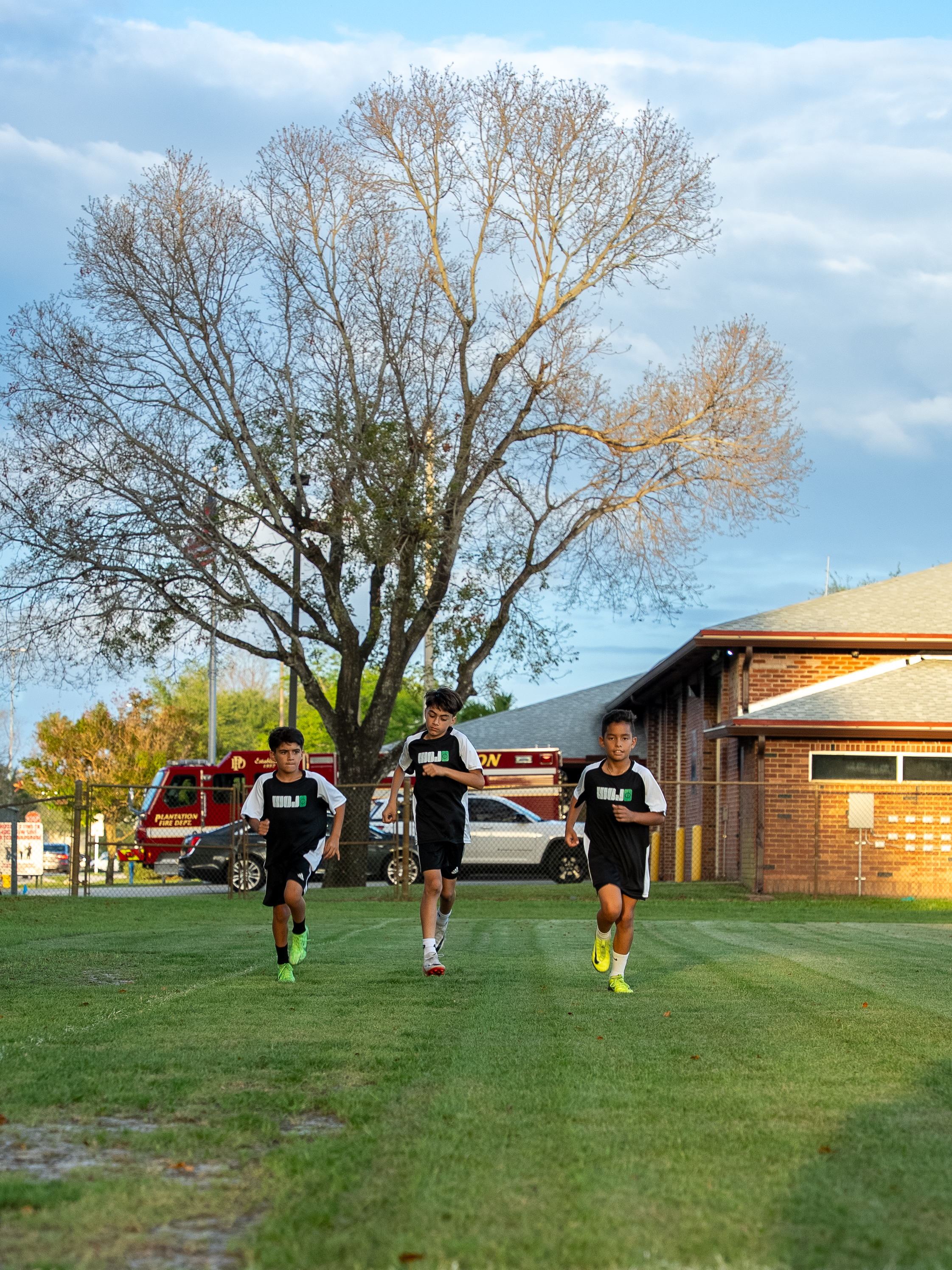 Entrenamiento profesional